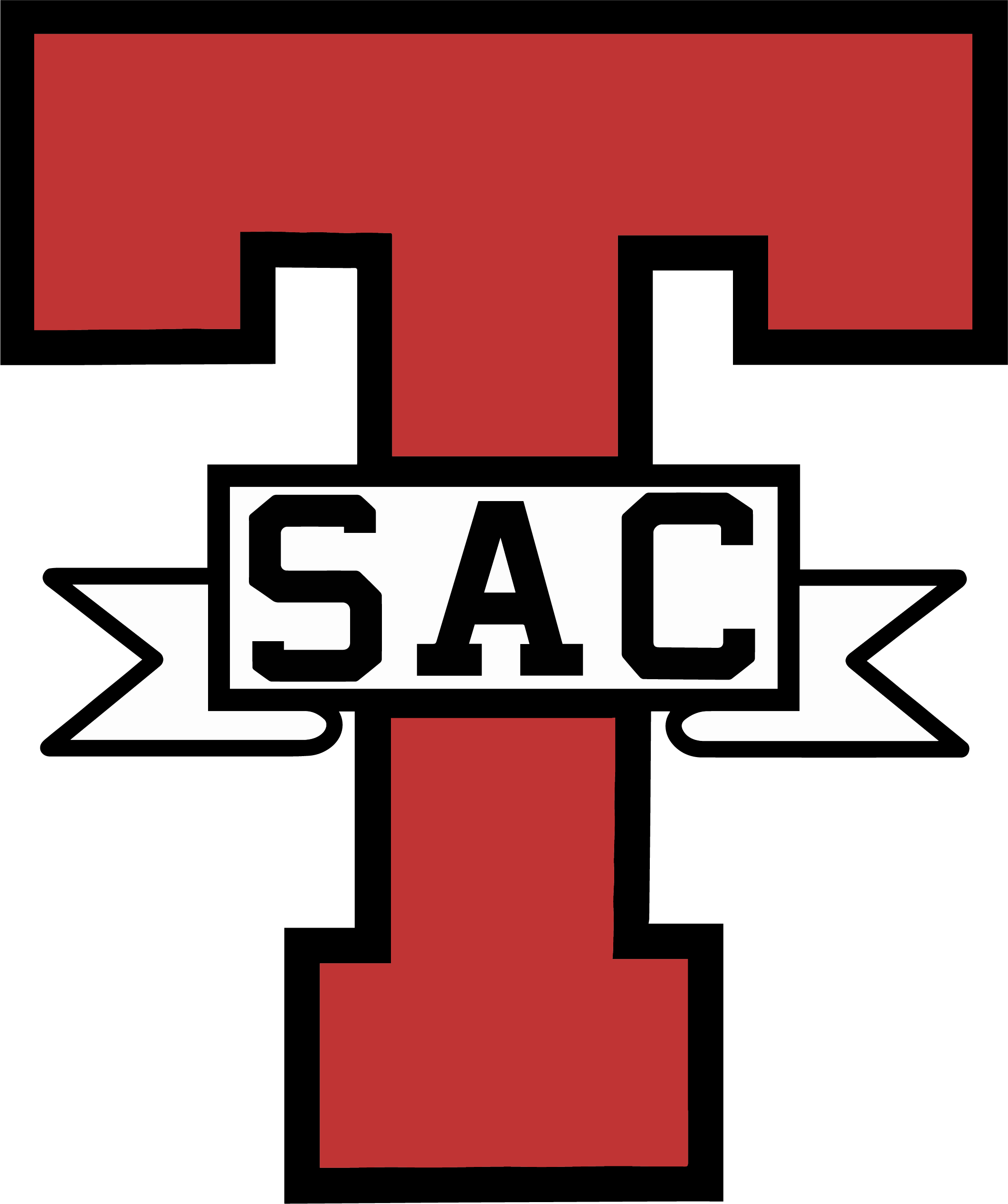 President Icon